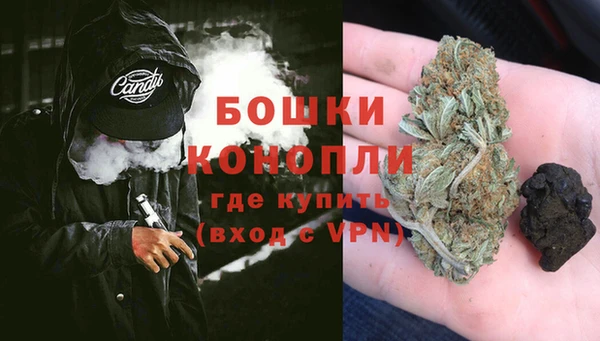 бошки Богданович